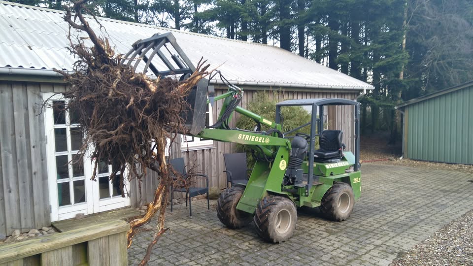 565205664 122103935697056159 1345807977792332351 n